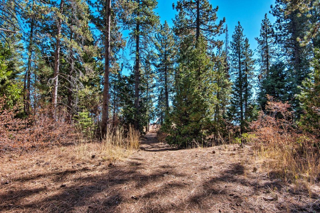 Modern Lakeside Cabin Walk To Dock And Tahoe City Eksteriør bilde